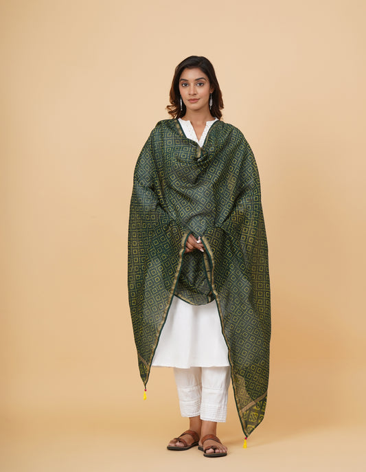 Indigo Nashpal Dyed Dabu Printed Chanderi Duppatta