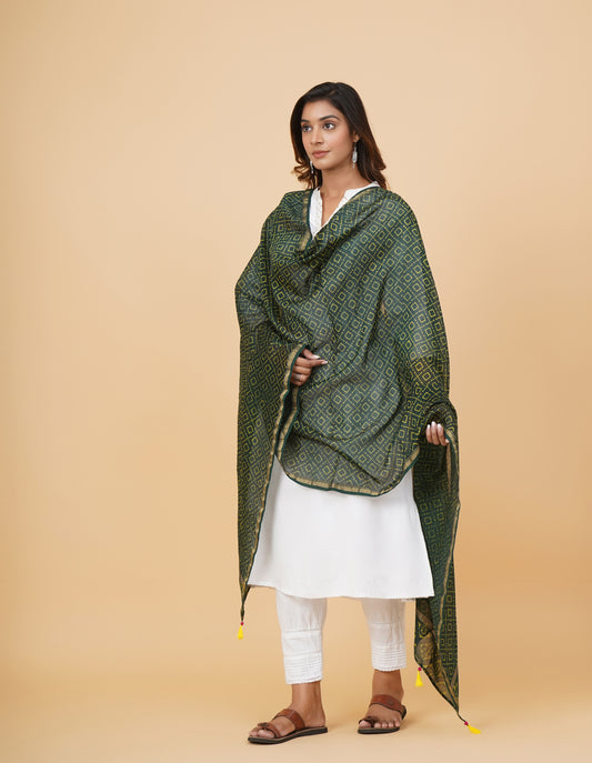 Indigo Nashpal Dyed Dabu Printed Chanderi Duppatta